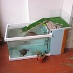 Acuario De Tortugas De Agua