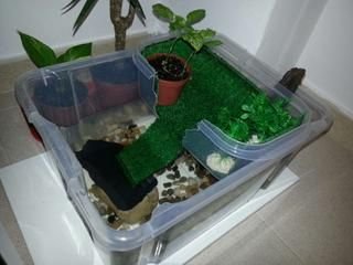 Acuaterrario Para Tortugas Casero