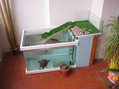 Casa Para Tortugas De Agua Grandes