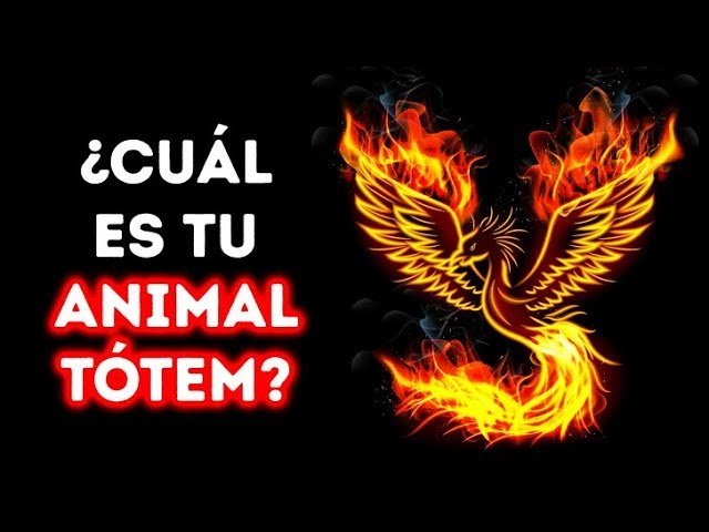 Cuál Es Tu Animal Espiritual Según Tu Nombre