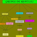 Grupos De Reptiles