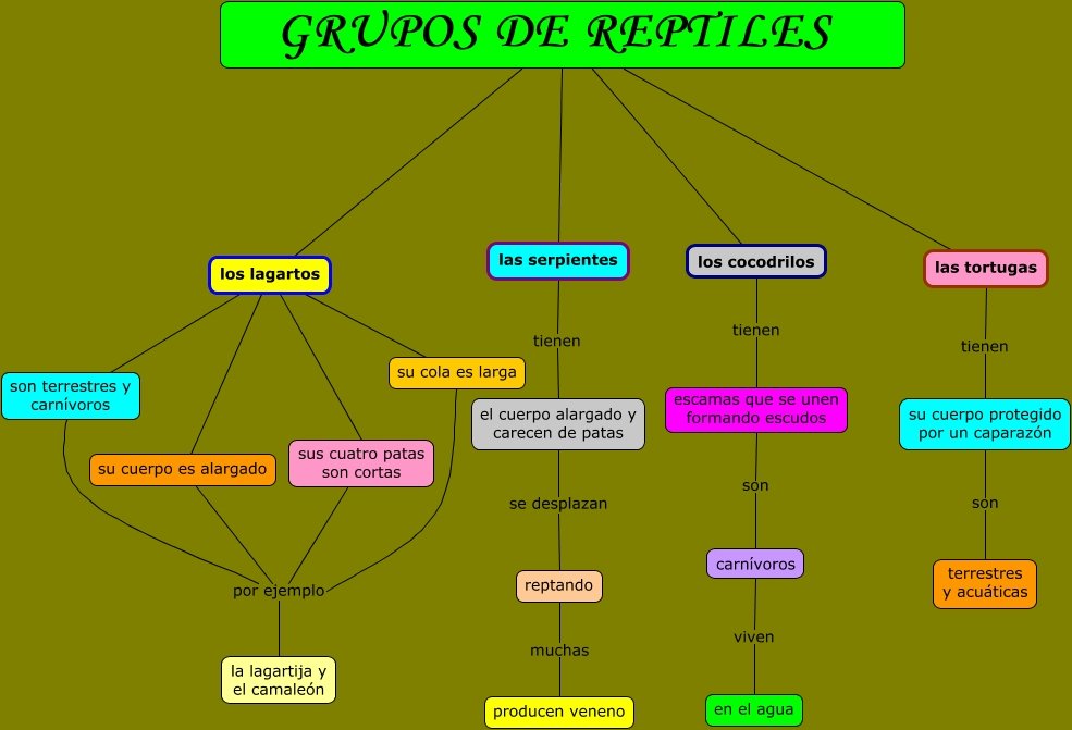 Grupos De Reptiles