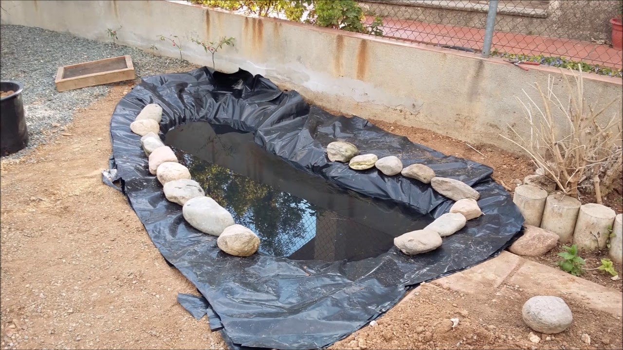 Piscina Para Tortuga De Tierra