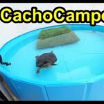 Piscinas Para Tortugas Grandes