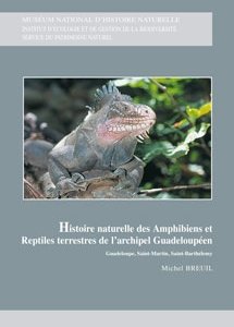 Reptiles Terrestres