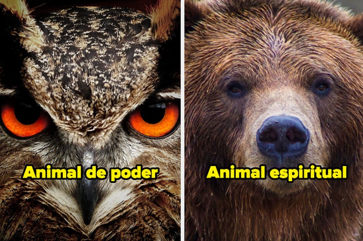 Test De Animal Espiritual