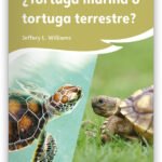 Tortuga Terrestre