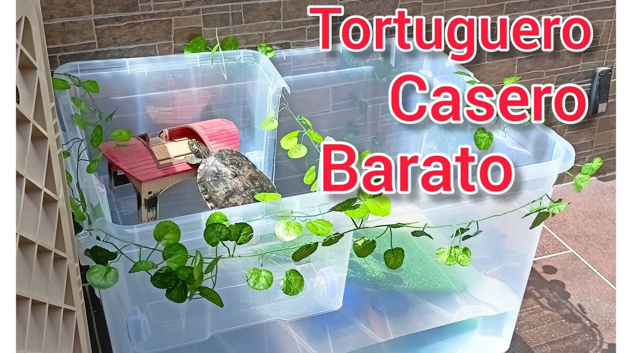 Tortugueros Caseros Para Tortugas De Agua