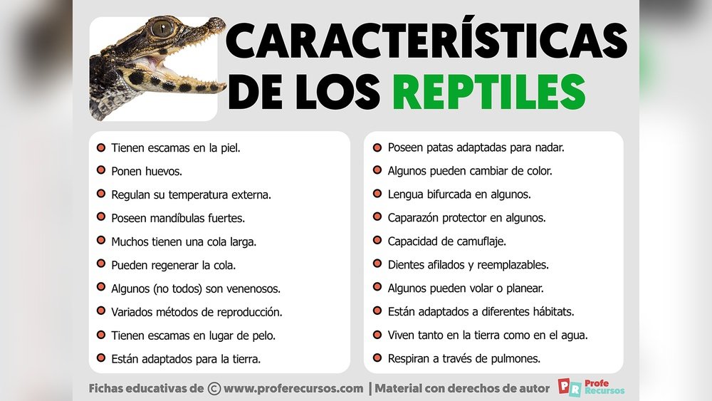 Características De Los Reptiles