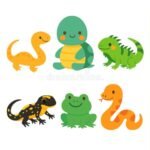 La Rana Es Un Reptil