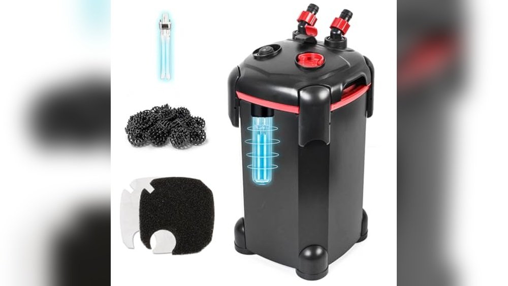 Best Canister Filter for Turtle Tank