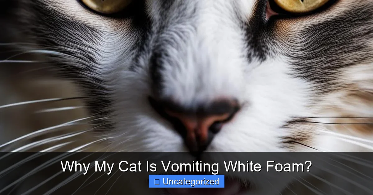 Why My Cat Is Vomiting White Foam?