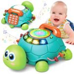 Crawling Turtle Toy - comprehensive buying guide and reviews