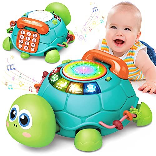 Crawling Turtle Toy - comprehensive buying guide and reviews