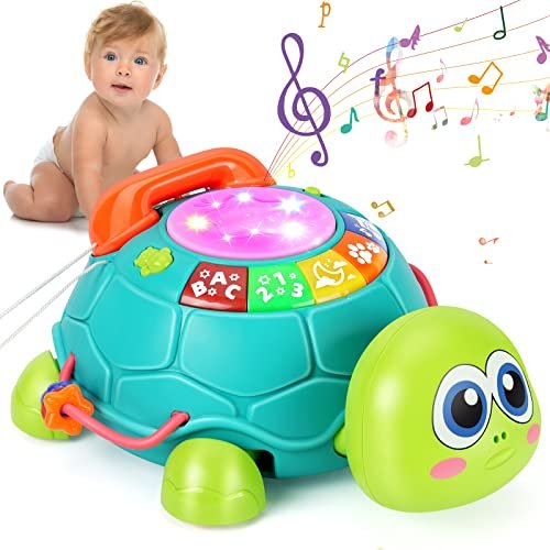 Fisher Price Turtle Toy - comprehensive buying guide and reviews