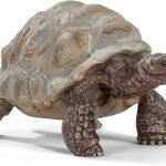 Realistic Toy Turtle - comprehensive buying guide and reviews