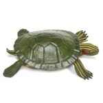 Red Eared Slider Turtle Toy - comprehensive buying guide and reviews