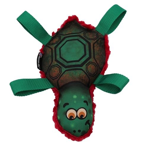Tommy the Turtle Toy - comprehensive buying guide and reviews