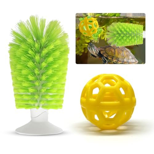Turtle Toys for Tank - comprehensive buying guide and reviews