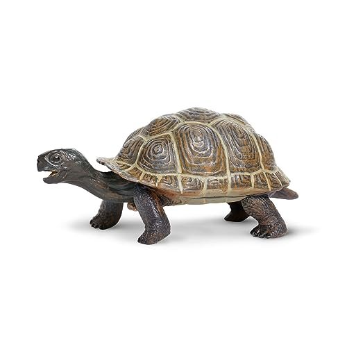 Safari Ltd. Tortoise Baby Figurine - Detailed Plastic Model...