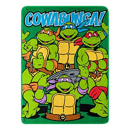 Northwest Teenage Mutant Ninja Turtles Micro Raschel Throw...