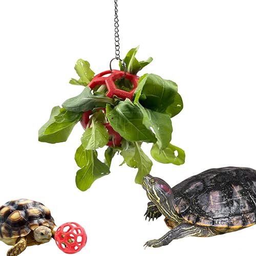 Turtle Feeder Ball with Chain, Hanging Tortoise Treat Ball