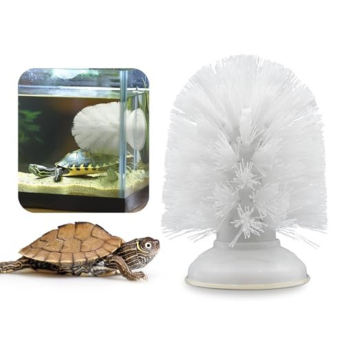 JJMOLLE Turtle Brush with Suction Cup, Turtle Enrichment Toy