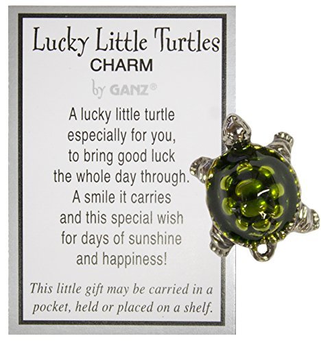 Ganz Lucky Little Turtle Charm with Story Card Pocket Token