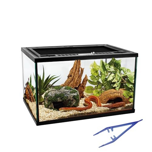 Reptile Glass Tank 16