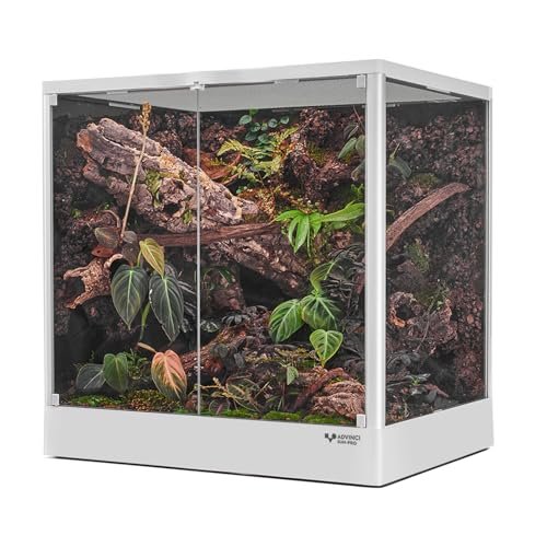 Reptile Glass Terrarium 24
