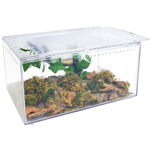 Apatal Reptile Terrarium Enclosure 12
