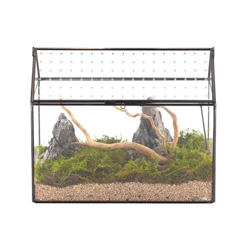 NCYP Glass Terrarium with Acrylic Lid, 10.2x5.9x8.2 Inches...