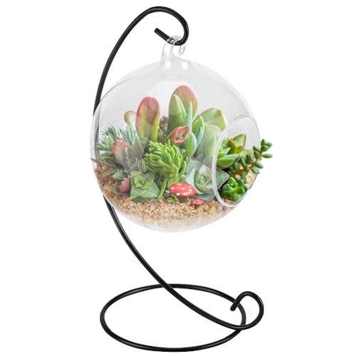 Air Plant Terrarium Kit with Stand, Hanging Glass Globe