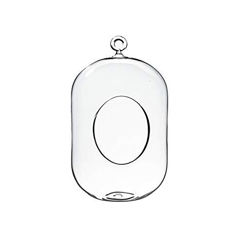 WGV Hanging Glass Plant Terrarium, Width 5