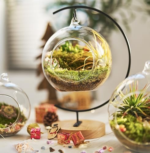 15-Piece Terrarium Kit with Live Moss – DIY Glass Globe
