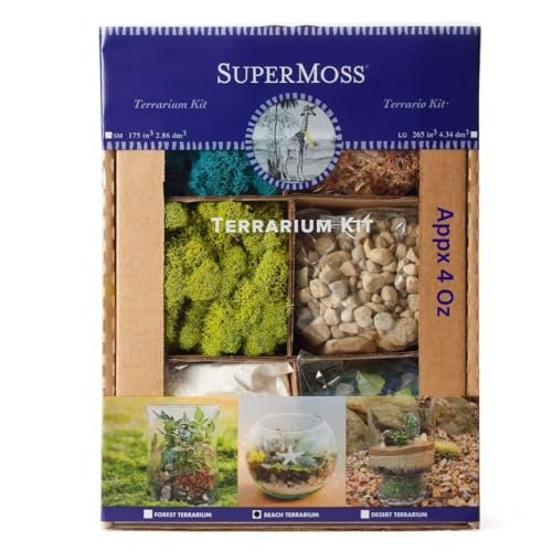 SuperMoss (90422) Beach Terrarium DIY Kit – Nature Mini...