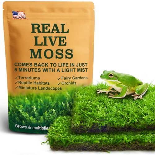 Live Moss Duo Pack 2 Types of Terrarium Moss