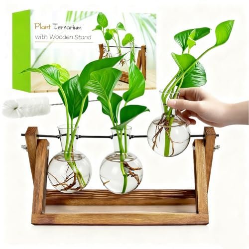 Renmxj Plant Propagation Stations with Wooden Stand and...