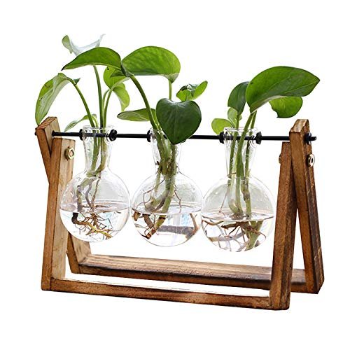 XXXFLOWER Plant Terrarium with Wooden Stand, Air Planter...