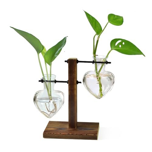 XXXFLOWER Plant Terrarium Wooden Stand, Hydroponic Planter...