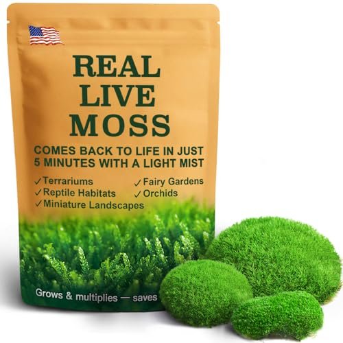 Live Moss – Leucobryum Moss (2 Sheets, 3.5x7) for Terrariums