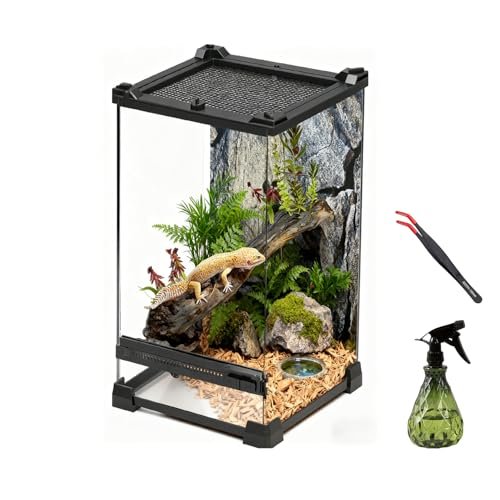 AQUA DAREN Reptile Tall Glass Terrarium Rainforest Habitat...