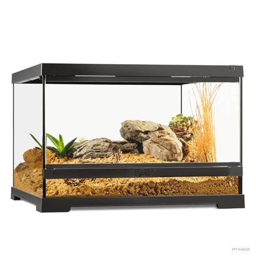 Pro Terrarium Small Low. Advanced Natural Terrarium