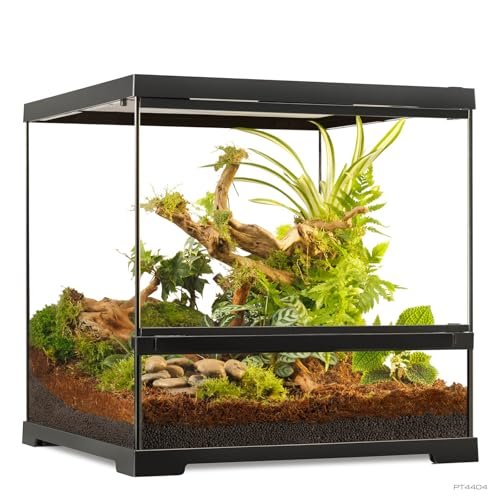 Pro Terrarium Small Wide. Advanced Natural Terrarium