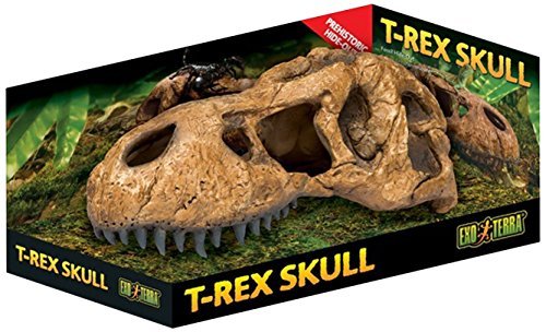 Exo Terra T-Rex Skull Terrarium Decor