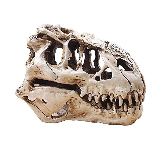 T-Rex Skull Dinosaur Resin Craft Gifts Home Decor Replica