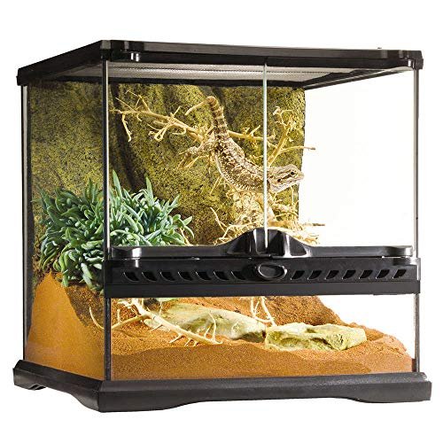 Exo Terra Glass Terrarium Kit, for Reptiles, Mini Wide...