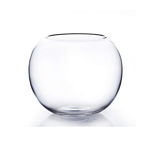 WGV Bowl Glass Vase, Diameter 10