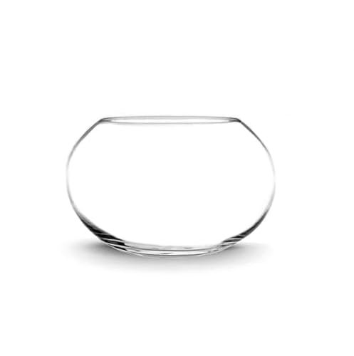 CYS EXCEL Large Glass Bubble Bowl (H-10 W-14) Terrarium Vase