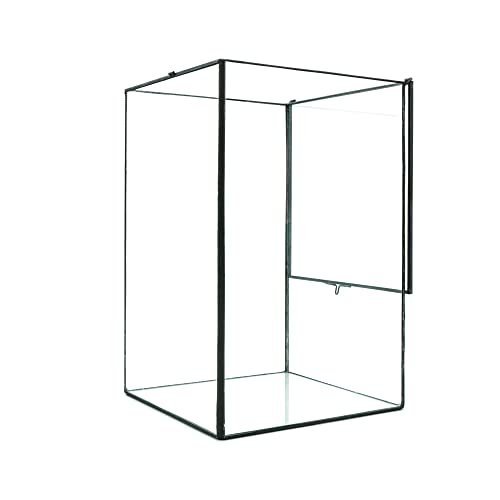 Large Geometric Terrarium Glass Container, 11 inch...